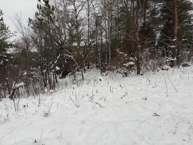 Homes for sale in Reed City, MI | Apache Pass, Reed City, MI 49677 | MLS# 70509101