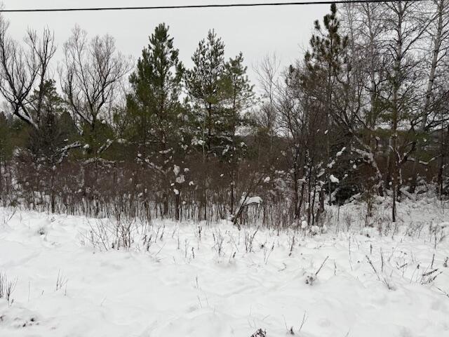 Homes for sale in Reed City, MI | Apache Pass, Reed City, MI 49677 | MLS# 70509101