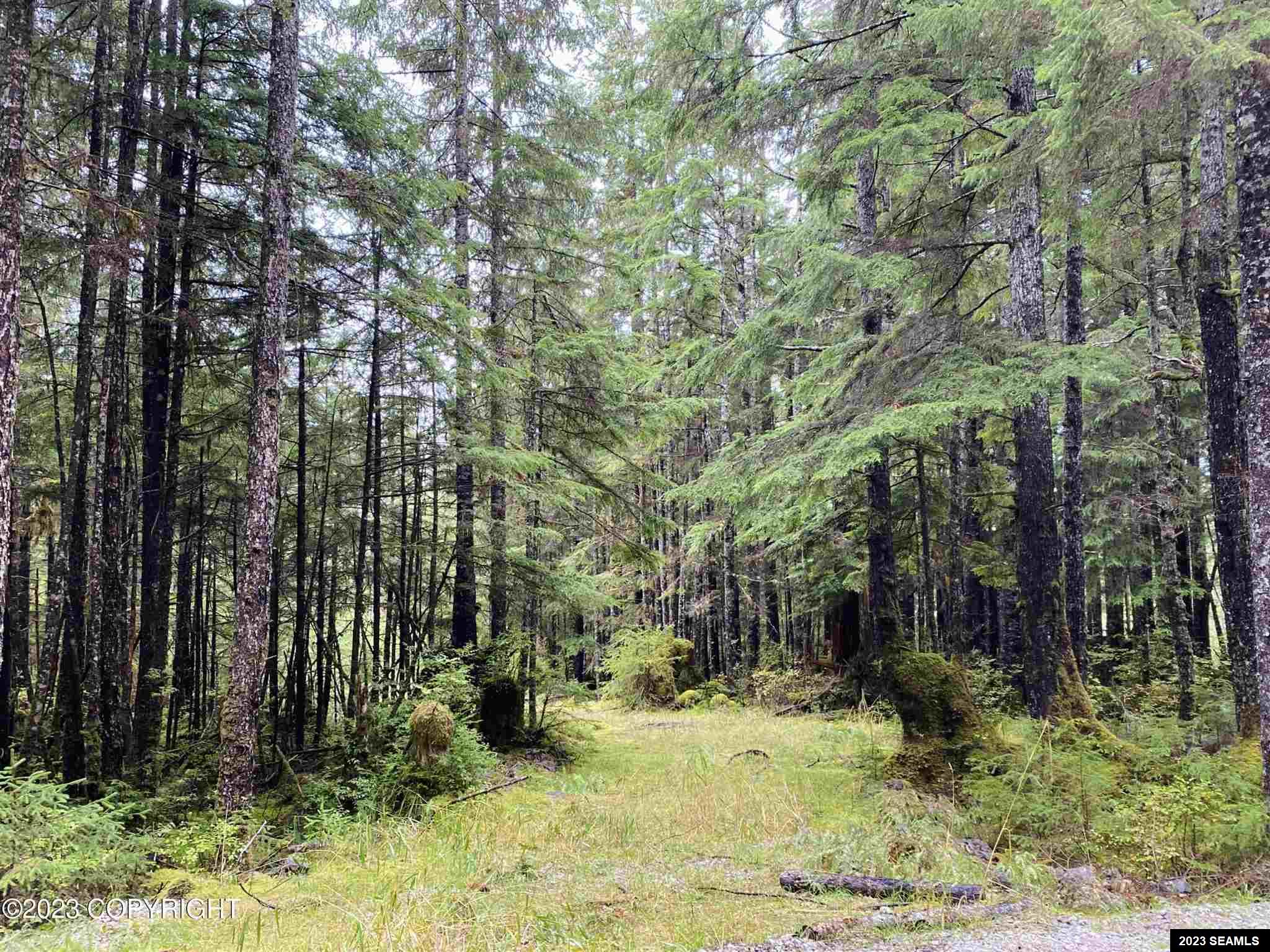 Legal Address Only, Naukati Bay, AK 99000, ,Land,For Sale,Legal Address Only,23789