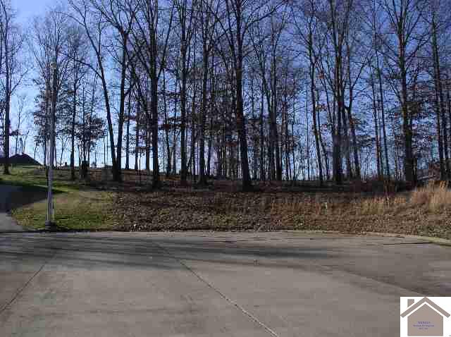 Lot 25 & Half of 24 Eagle Drive
