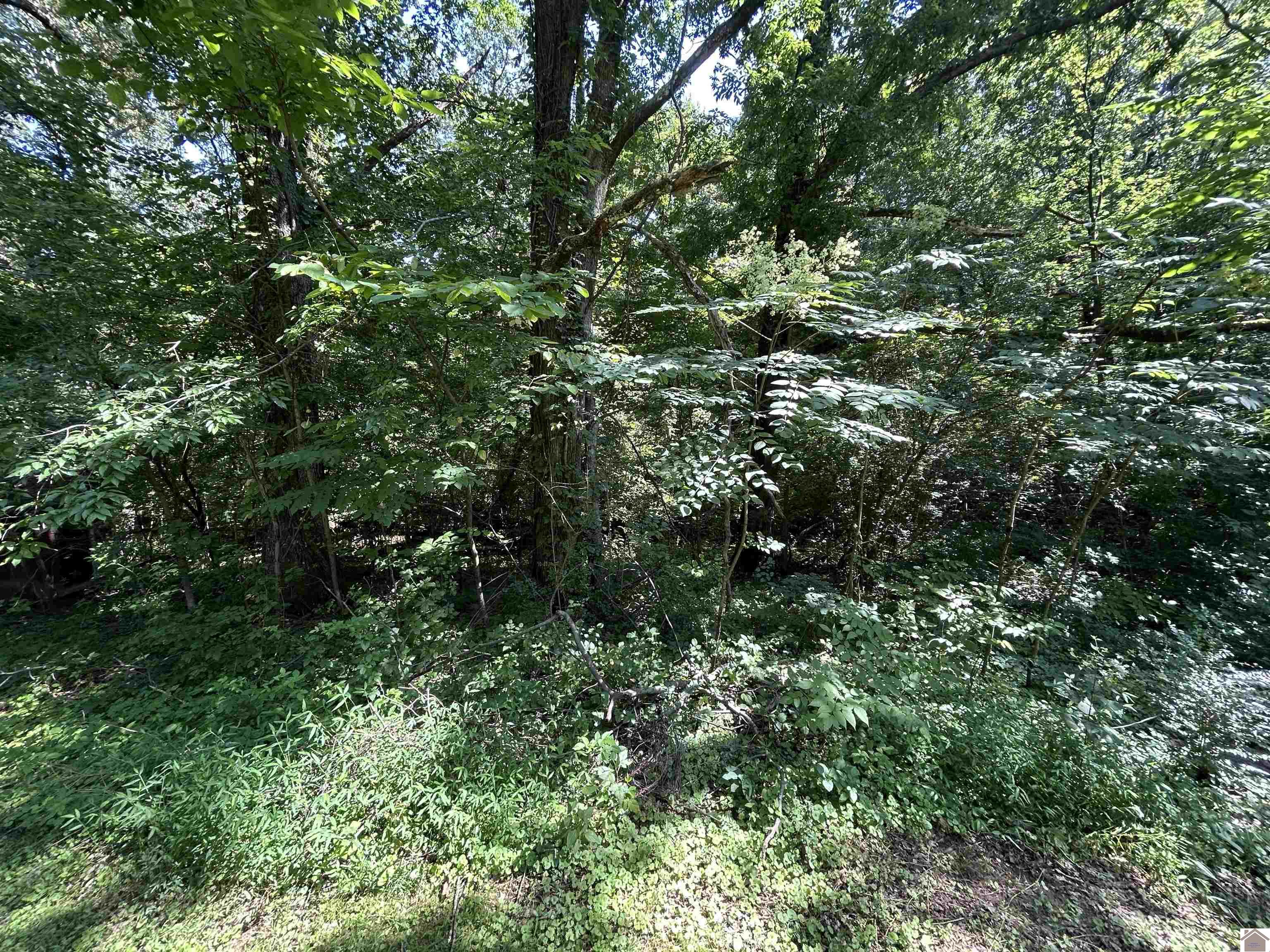 00 Cherry Oak Ln.