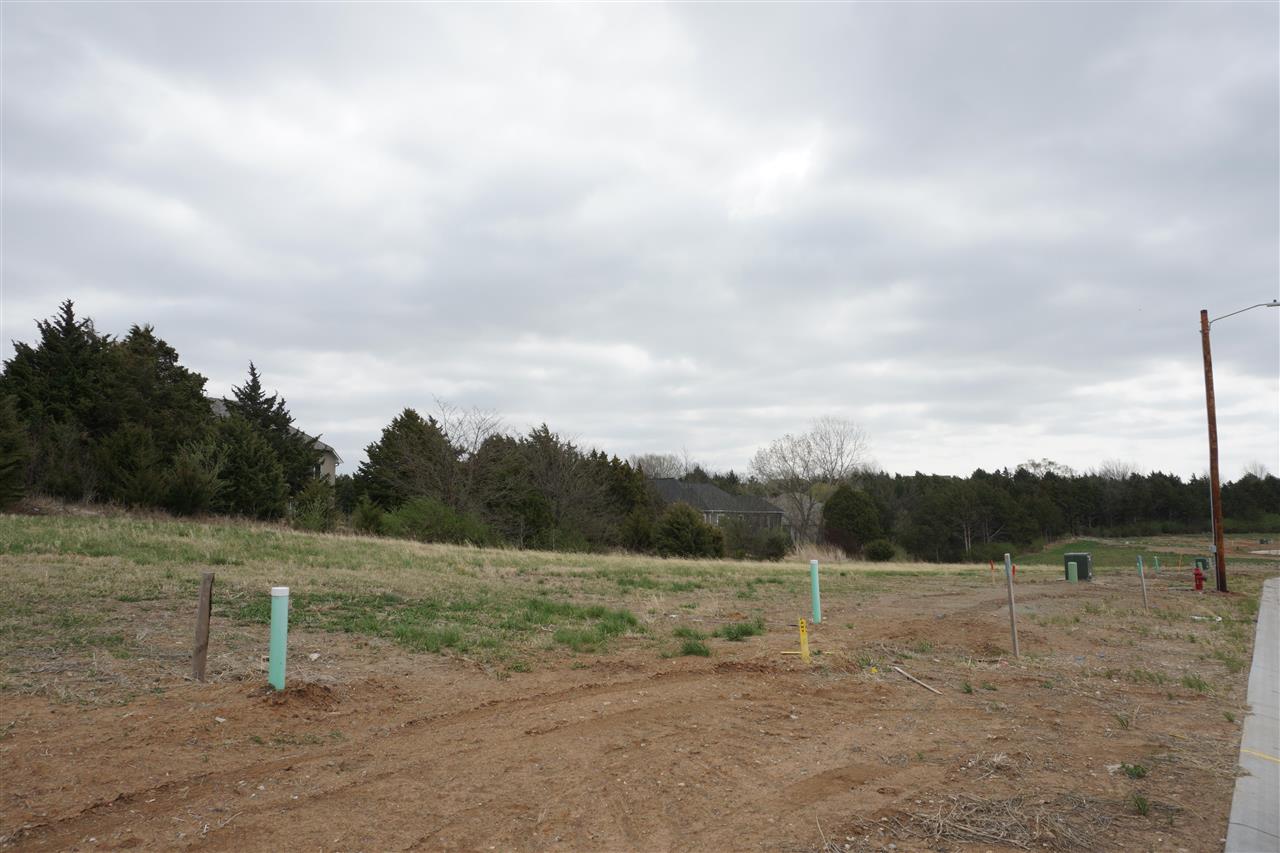 4102 Scenic Crossing