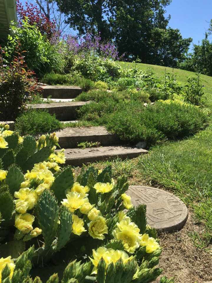 Property Photo 54
