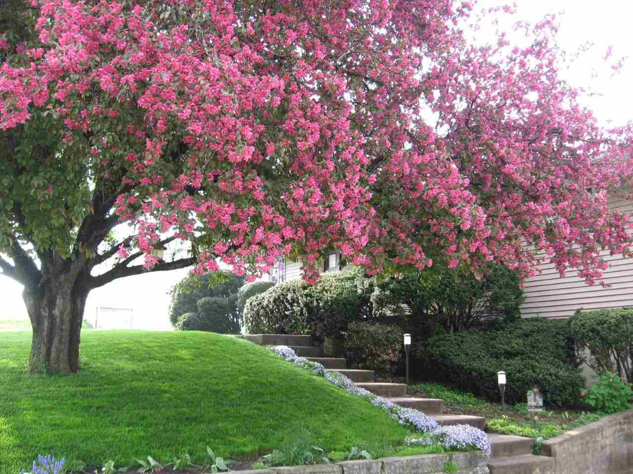 Property Photo 55