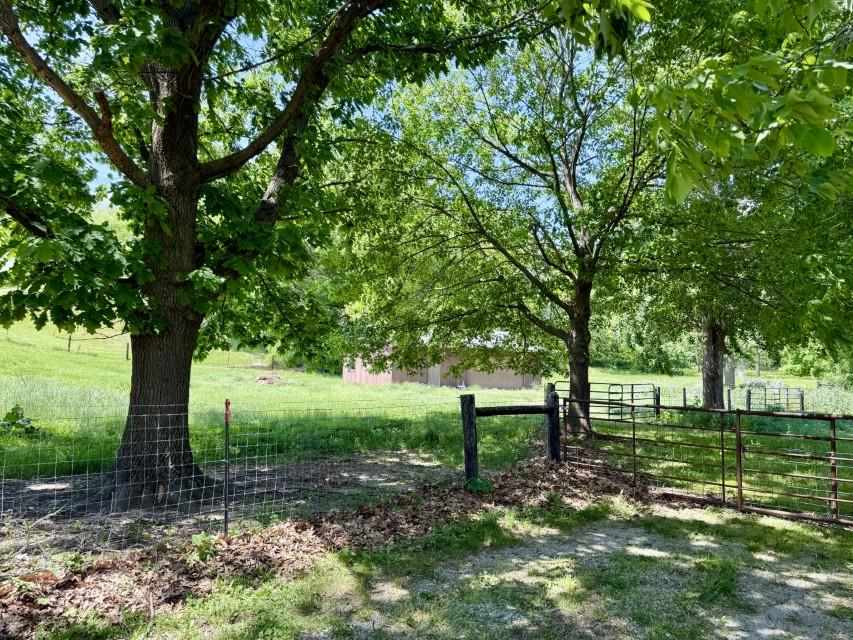 Property Photo 54