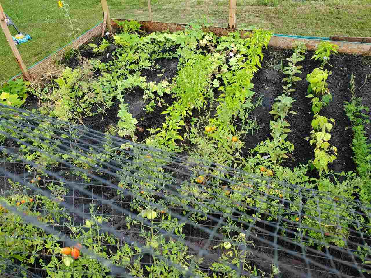 Property Photo 40