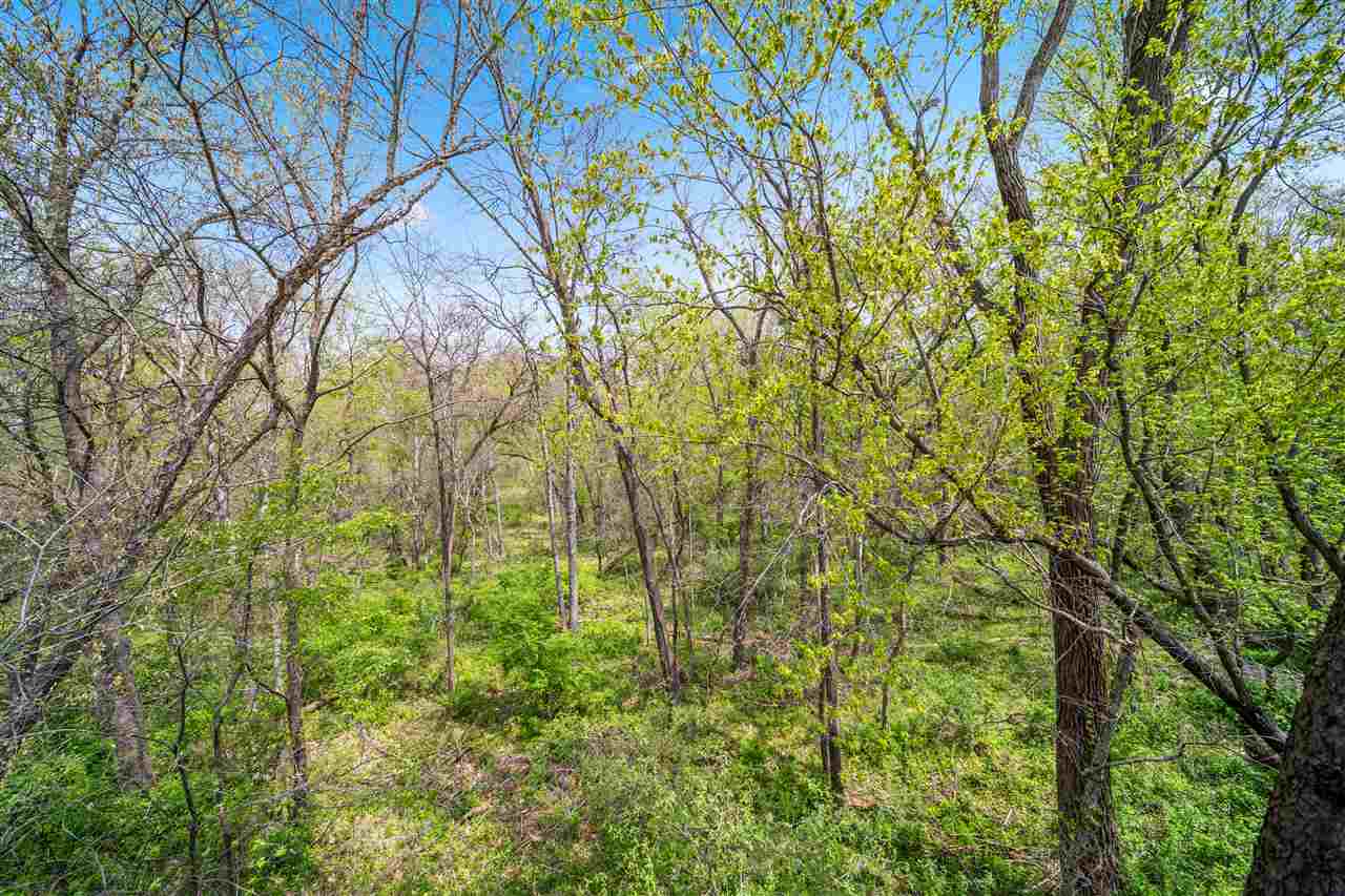 Property Photo 62