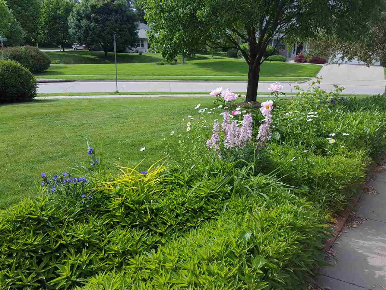 Property Photo 49