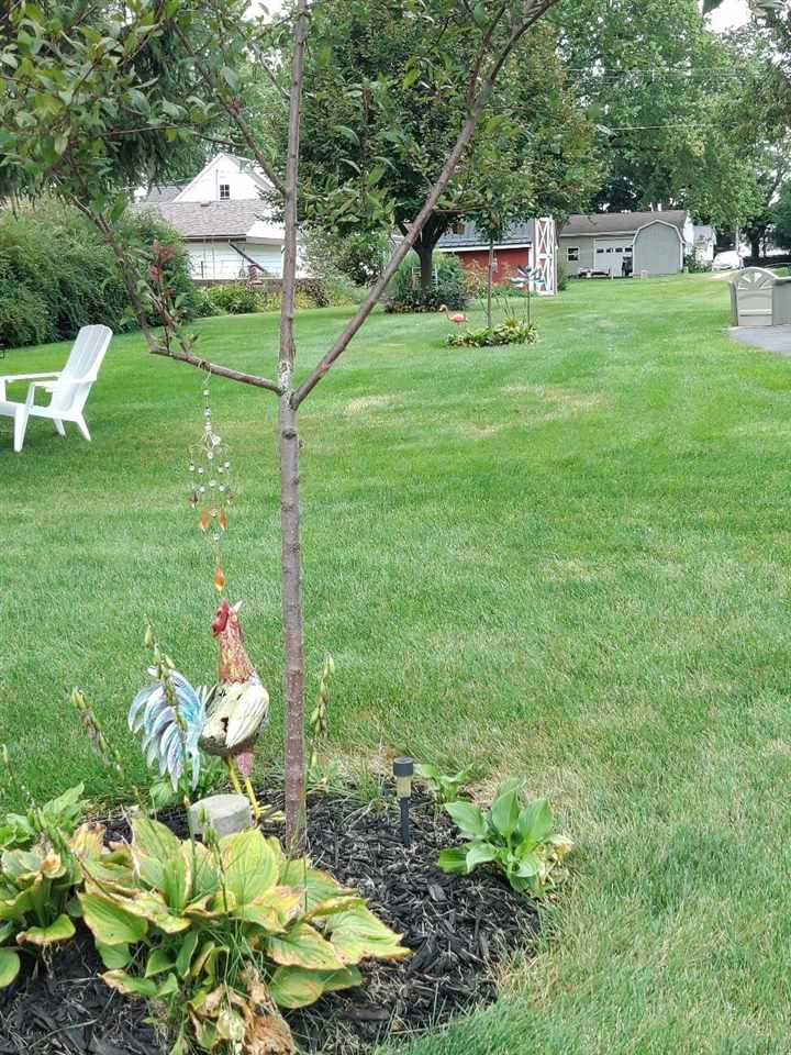 Property Photo 41