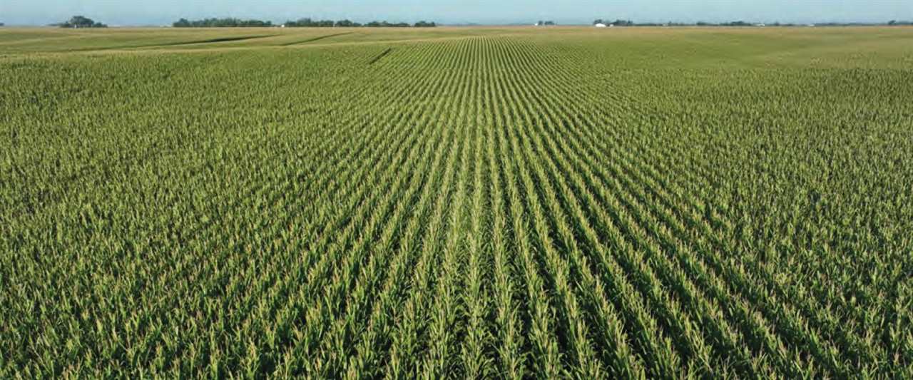 330th Ave. IA 52248