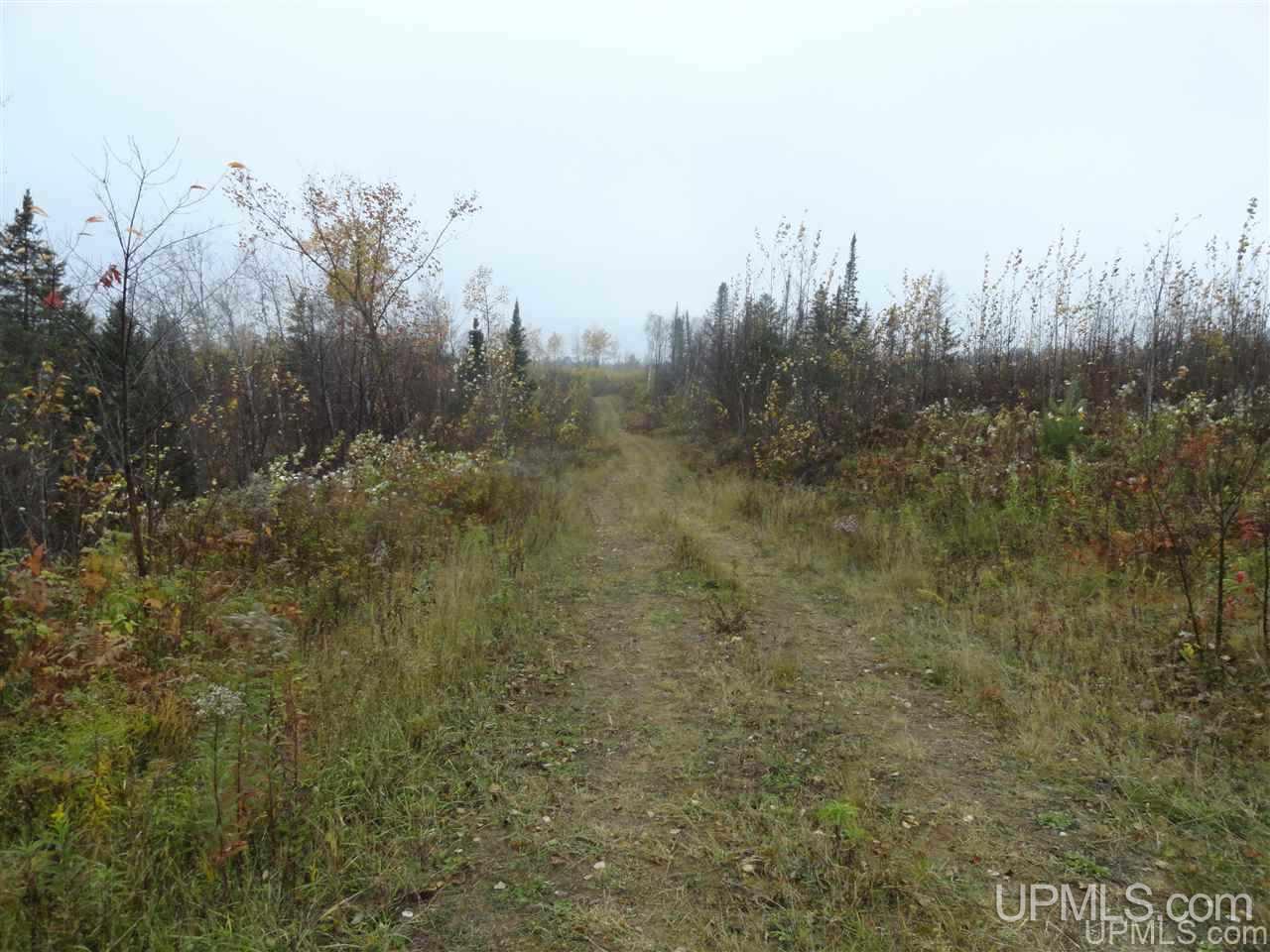 80 Acres Newberg Rd