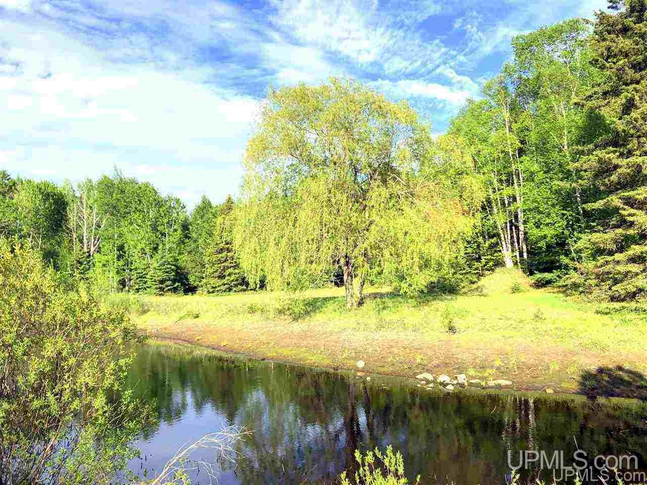 101 Cedar Lane