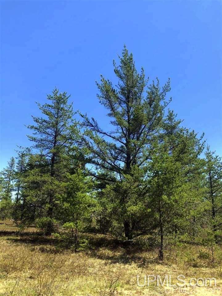 85 G S Mehl Lake Rd