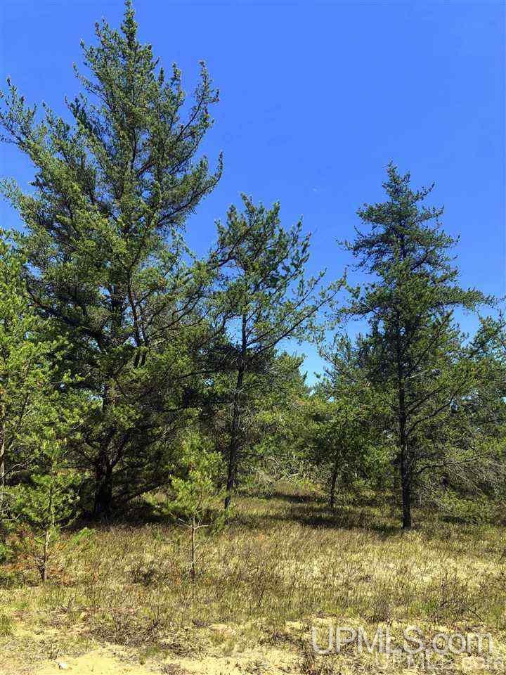 85 G S Mehl Lake Rd