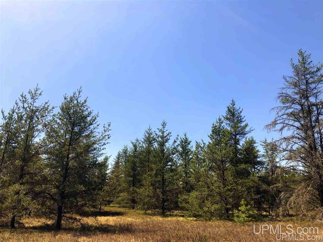 85 G S Mehl Lake Rd