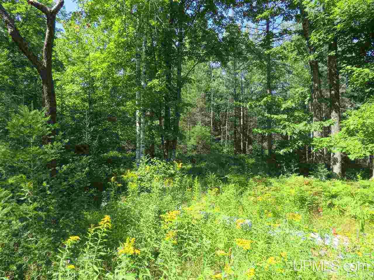 Upper Peninsula Real Estate from Great Lakes and Land Real Estate Co