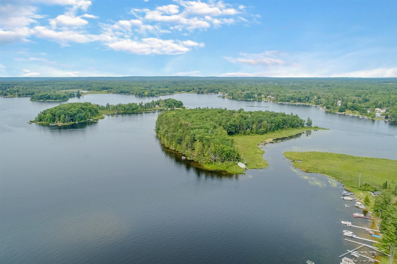 394 HAPPYS ISLAND, HALE, MI 48739