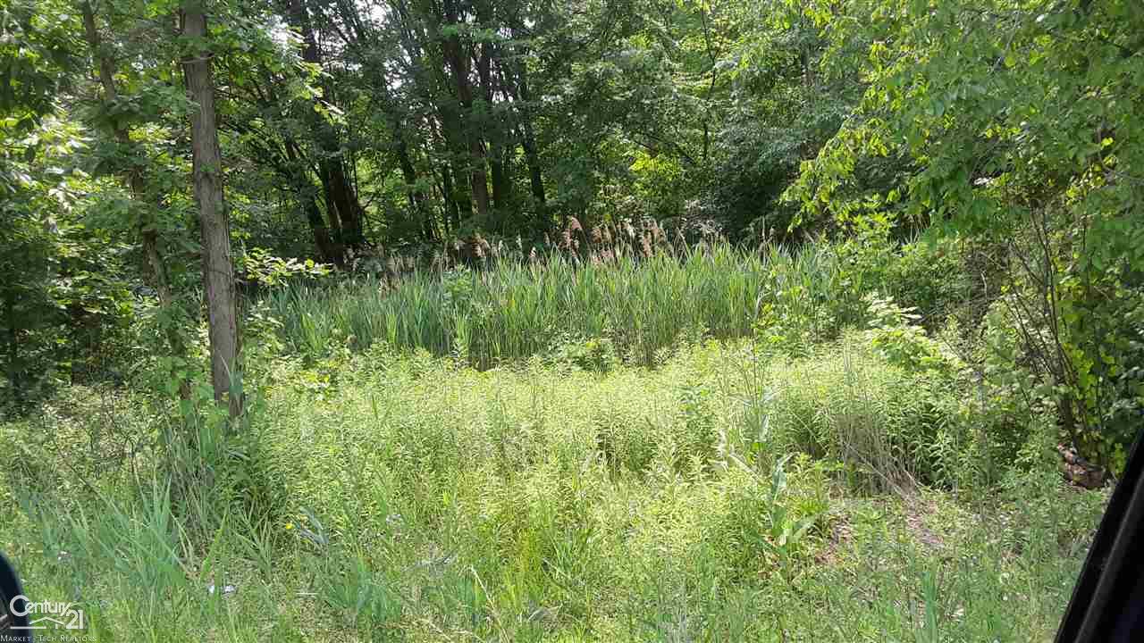 Property Thumbnail