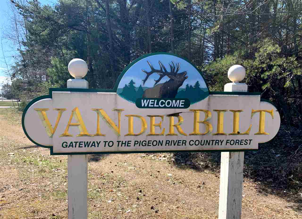 VL 628 BADGLEY ROAD, VANDERBILT, MI 49795