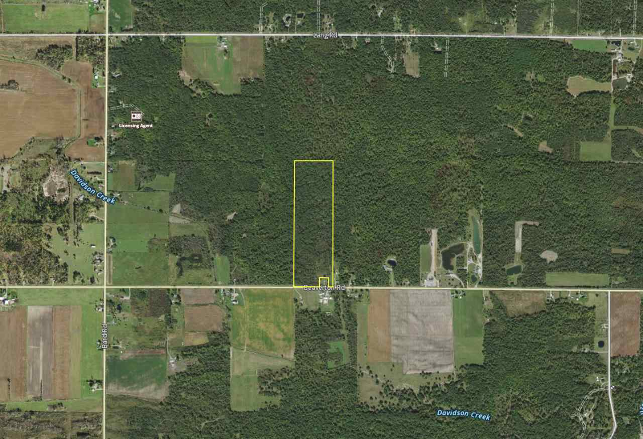 W BEAVERTON RD, BEAVERTON, MI 48612