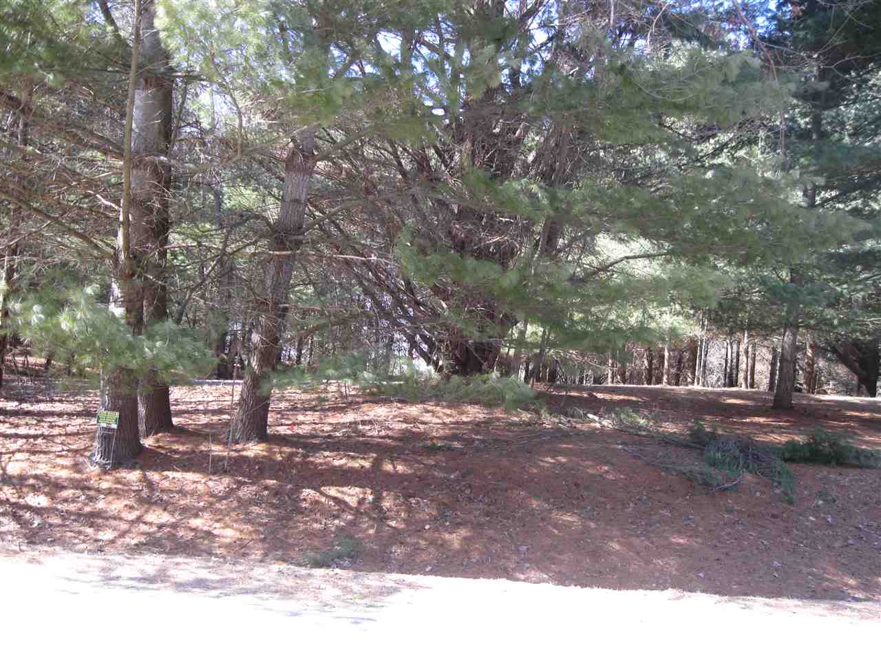 Sugar Springs Realty Sugar Springs Real Estate Alma Horton