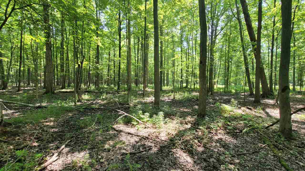 S Steele Rd