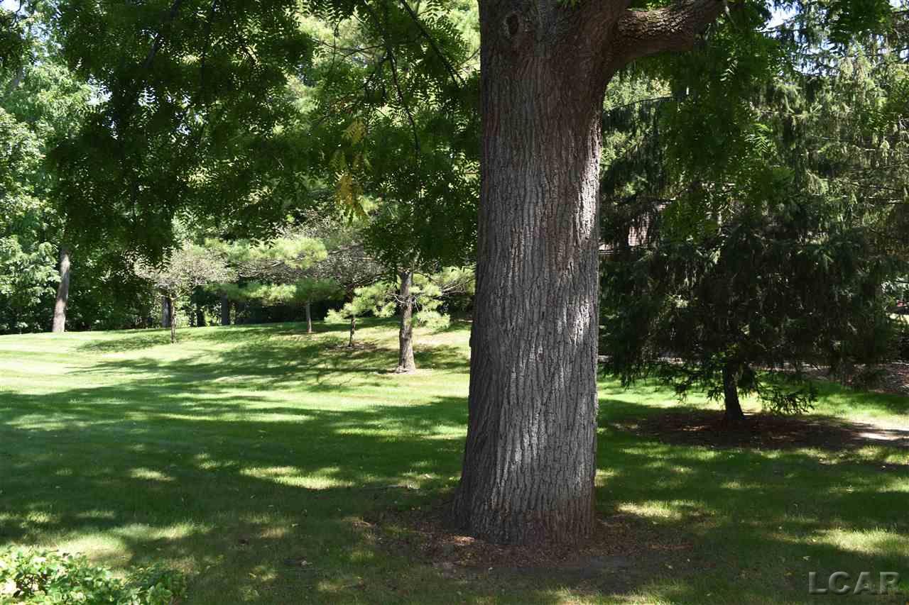 220 Richlyn Dr