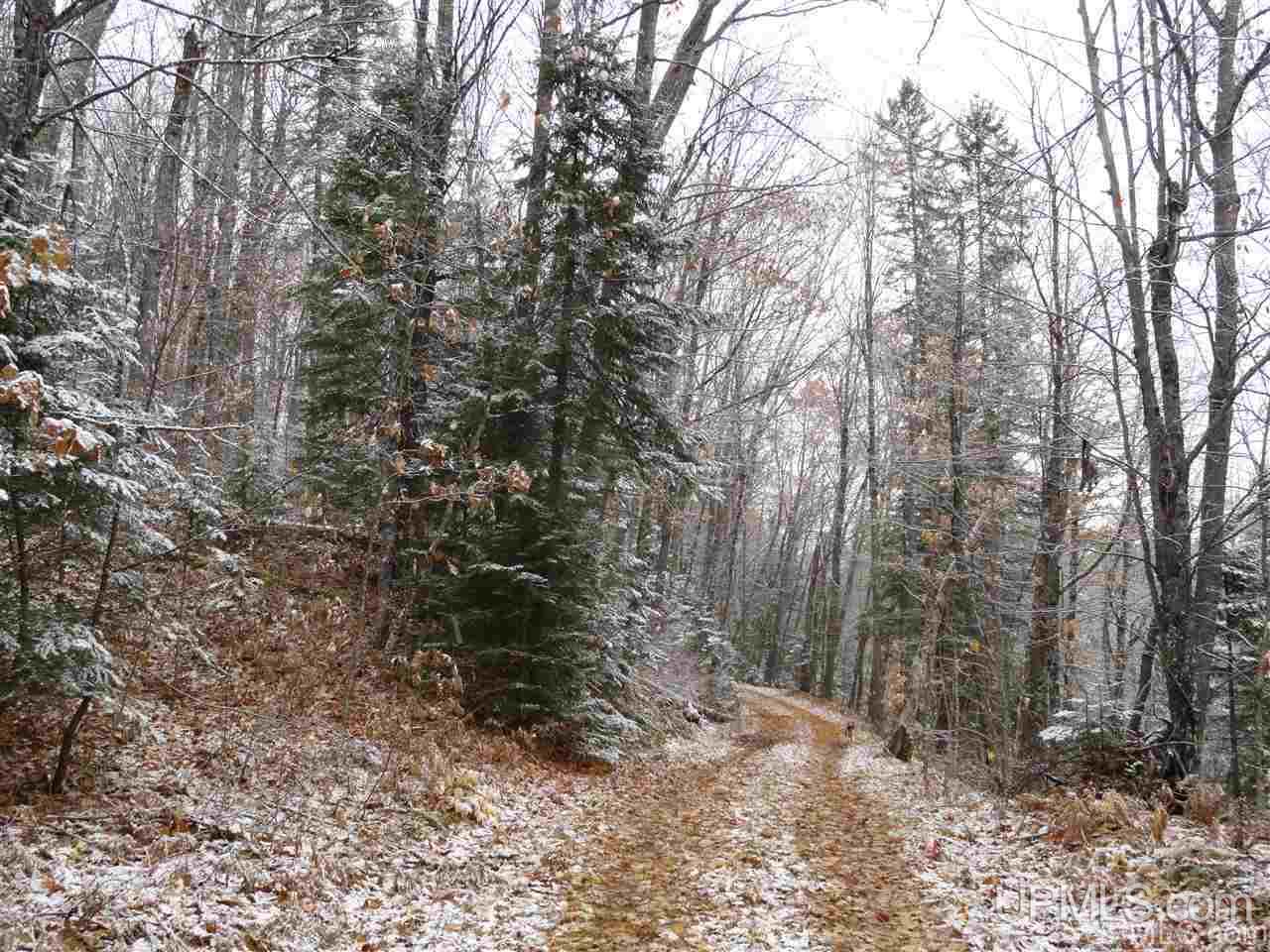 380 Acres AAA Rd