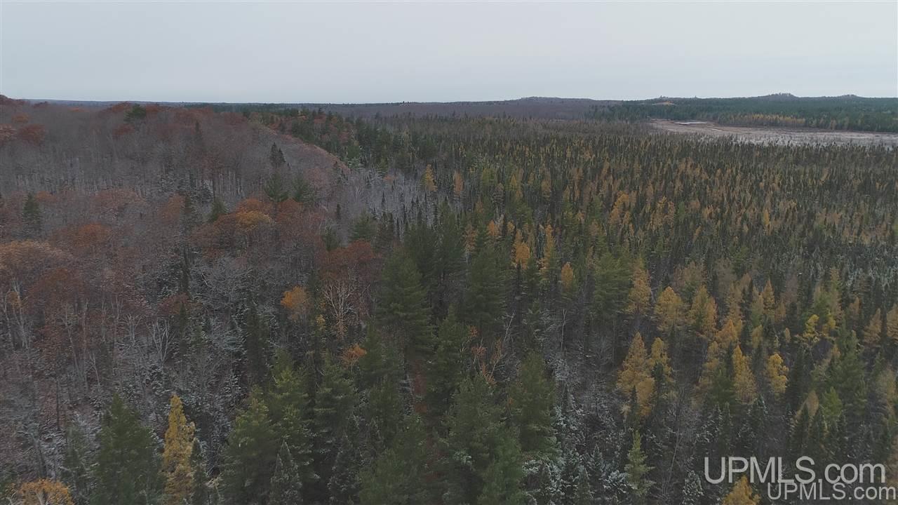380 Acres AAA Rd