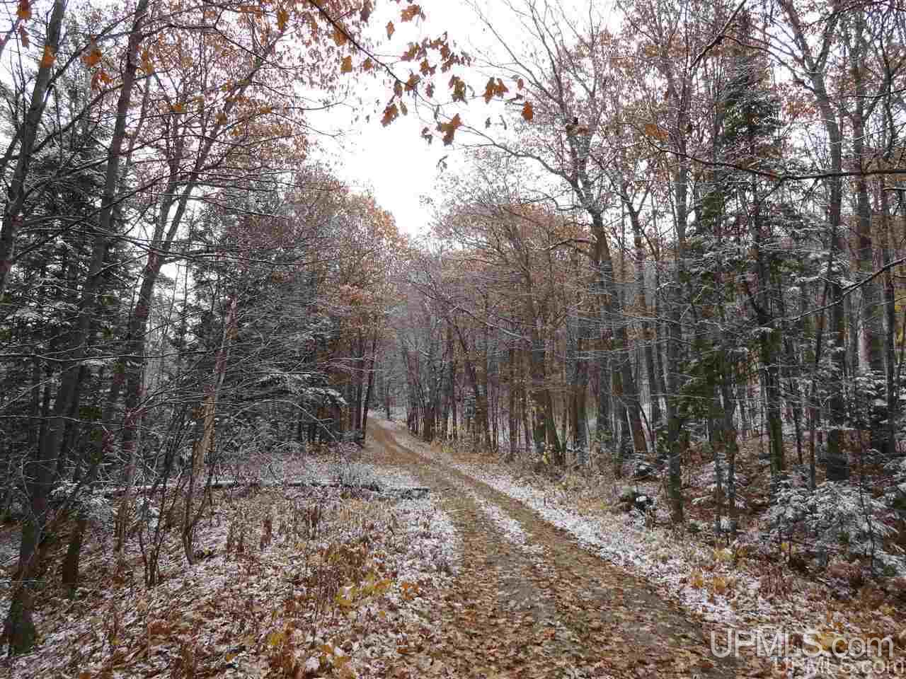 380 Acres AAA Rd