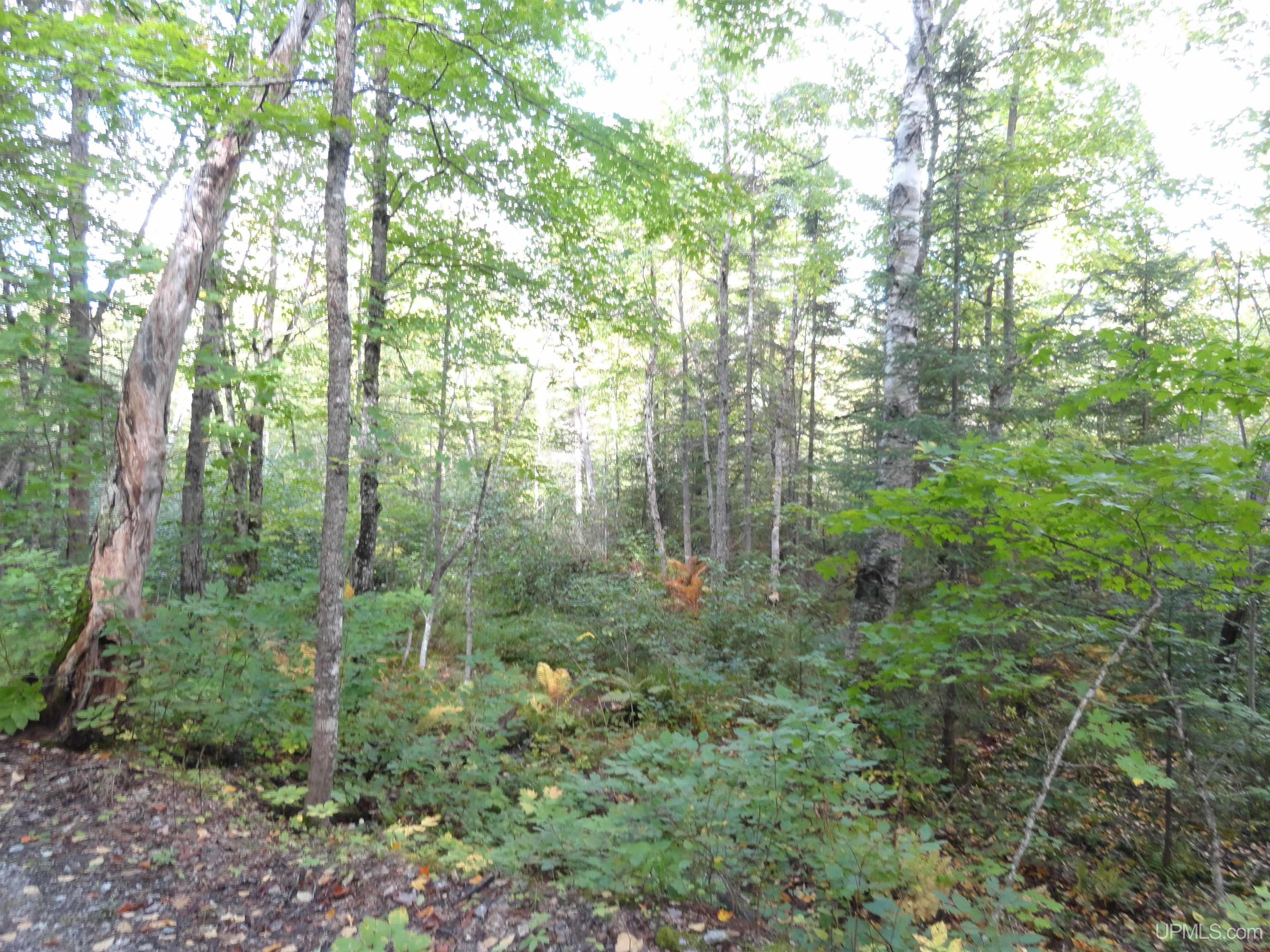 160 Acres Co Rd IAA