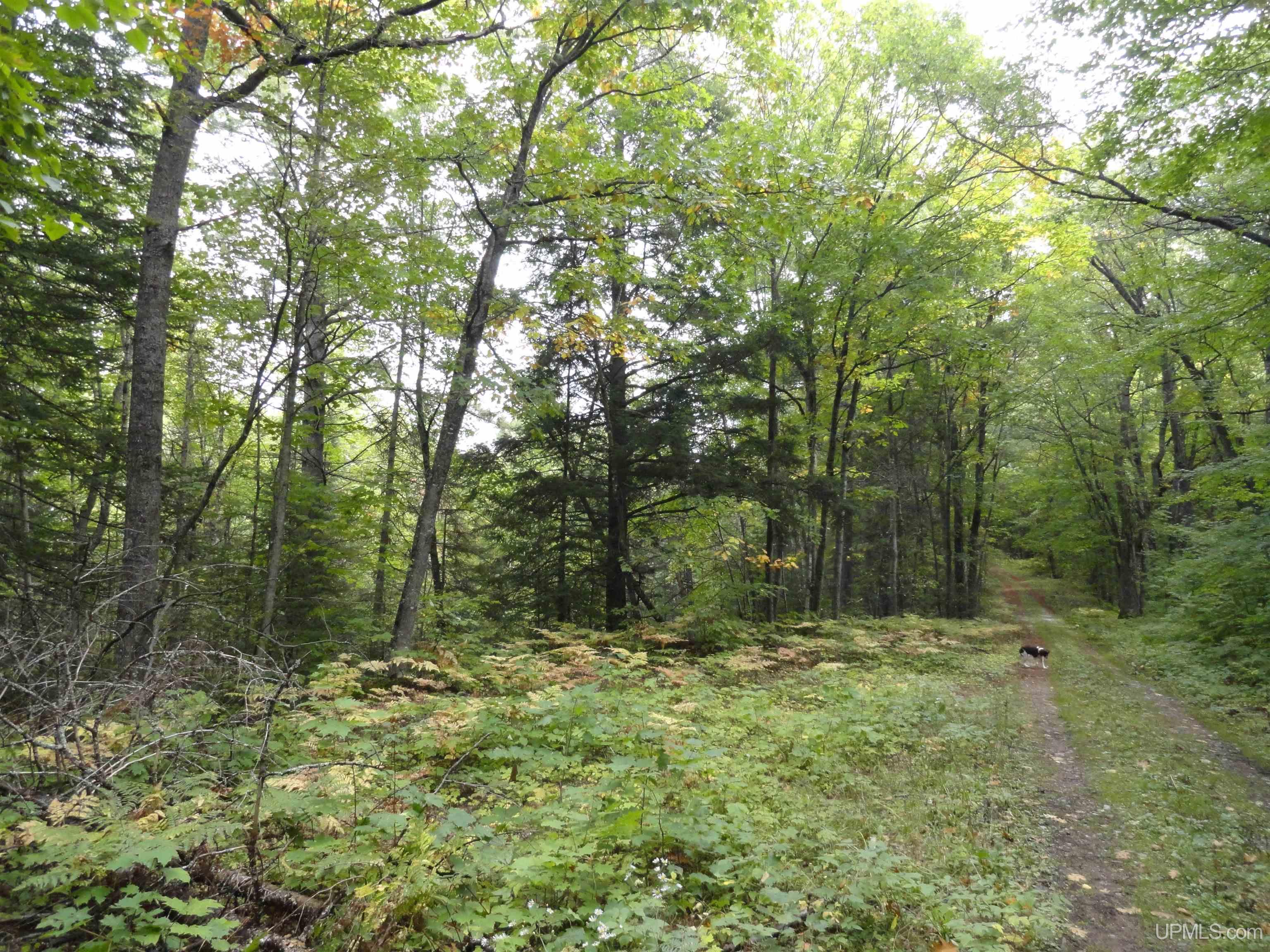 160 Acres Co Rd IAA