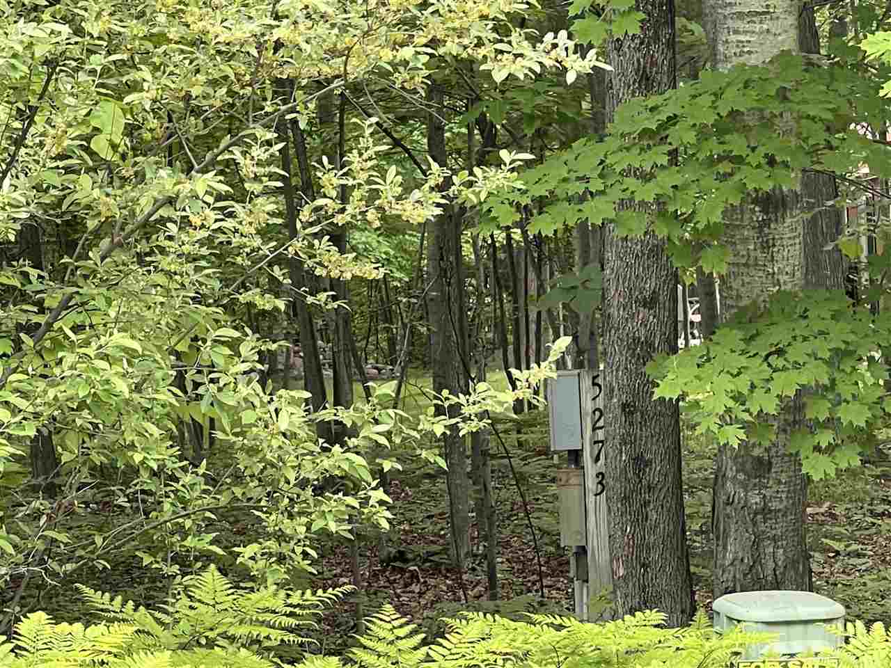 Nice shady lot with electric and drive.   Lot is adjacent to a soothing sound of a stream at the back. Located not far from Lake Circle Trail, which is a walk way around Lake Lancelot.   Also within walking distance to Kings Way Beach Club.   Create your niche and enjoy.    Build or Camp.   You will need to connect to the sewer system to pull camper on.   Ownership provides access to an 18 hole golf course , restaurant/pub, fitness center, indoor heated pool, tennis/bocce ball courts, chalet/sledding hill, walking (nature) trails, activity bldg, storage area, 2 all sports lakes, Lk Lancer/Lancelot, 15 beach clubs (5 with beach/bath house). Or fly to/from Sugar Springs off a 3500ft well maintained grass airpark.   www.airnav.com   5M6.    ALL just 2-1/2 hours from Detroit!