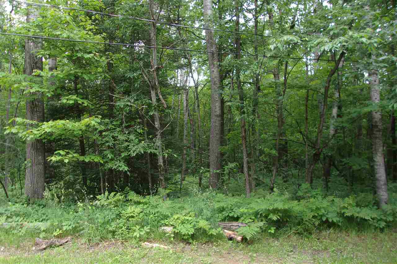 Clare County Michigan Real Estate Fairchild and Green of Lake