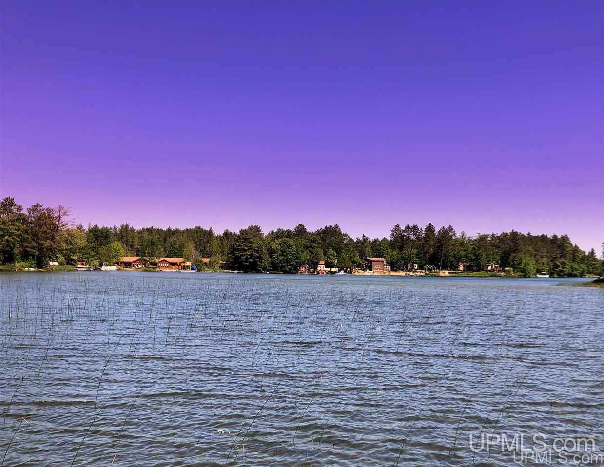 353 S Johnson Lake Dr