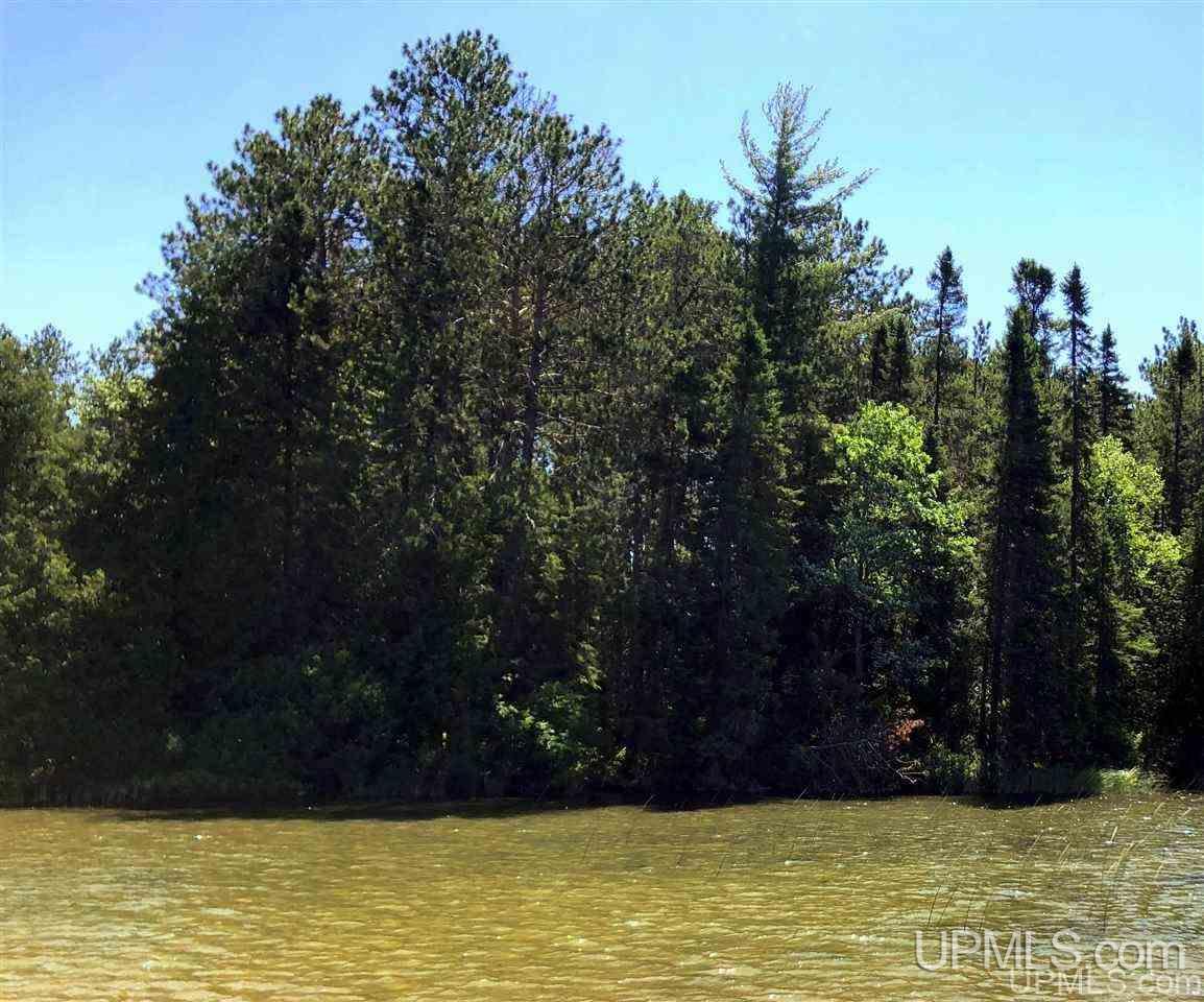 353 S Johnson Lake Dr
