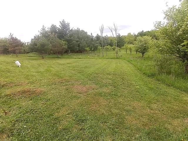 Beautiful high lot and awesome view of landscape and commons.  Enjoy 1/3 acre to camp or build, perfect for a walkout basement home.    Lot includes gravel drive, 2 sewer hook-ups, well, 30 amp, 15 amp, 220 amp, 20amp at breaker box.   and Gravel drive.    Recently cleared of debris, brush, trees and mowed for those who want to enjoy the 2022 camping season with no effort.  Short distance to Lake Lancelot and Lake Lancer.   Ownership provides access to an 18 hole golf course , restaurant/pub, fitness center, indoor heated pool, tennis/bocce ball courts, chalet/sledding hill, walking (nature) trails, activity bldg, storage area, 2 all sports lakes, Lk Lancer/Lancelot, 15 beach clubs (5 with beach/bath house). Or fly to/from Sugar Springs off a 3500ft well maintained grass airpark.   www.airnav.com   5M6.    ALL just 2-1/2 hours from Detroit!