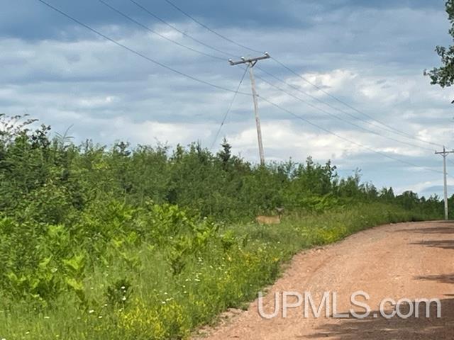 203 acres Old 69