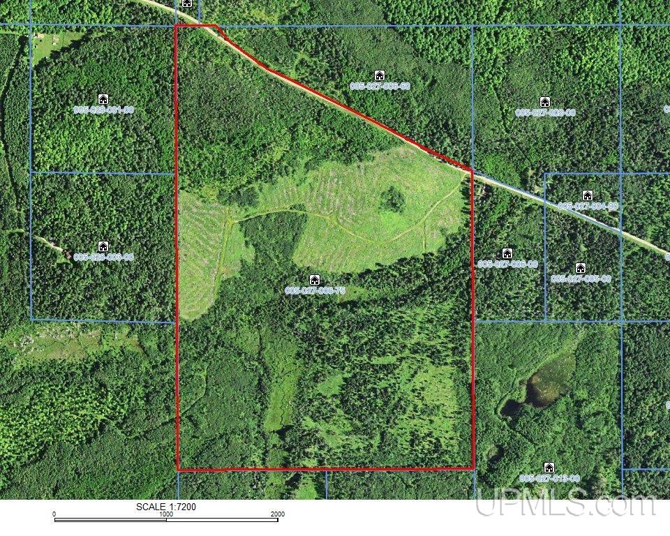 203 acres Old 69
