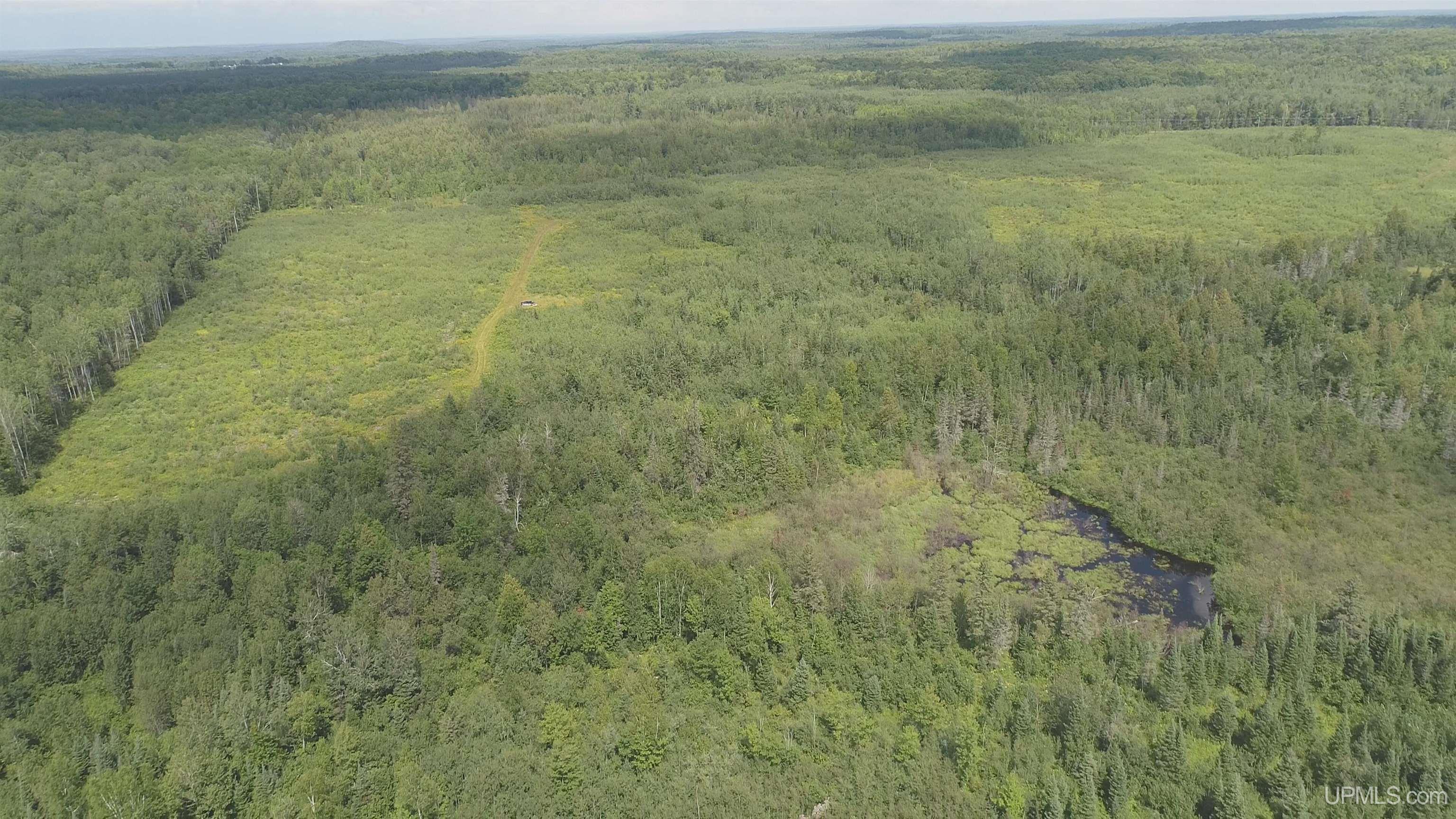 203 acres Old 69