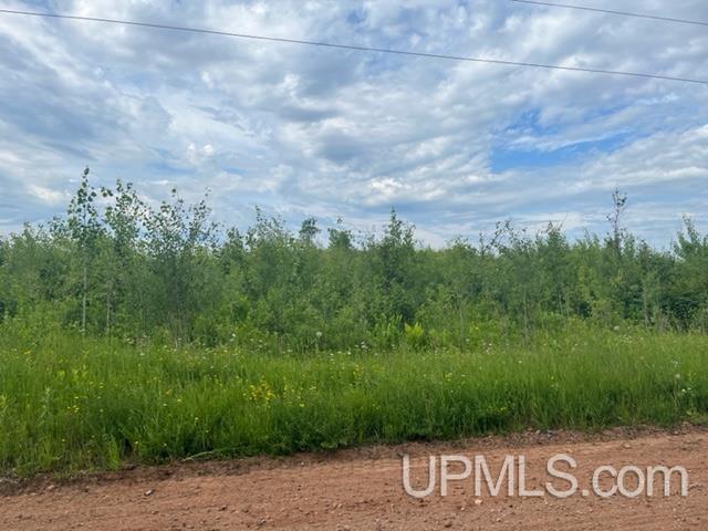203 acres Old 69