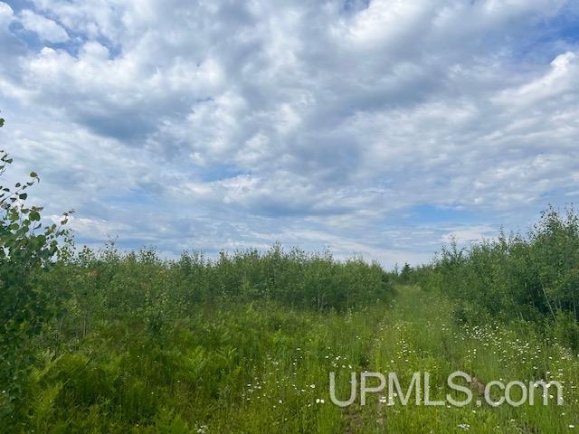 203 acres Old 69
