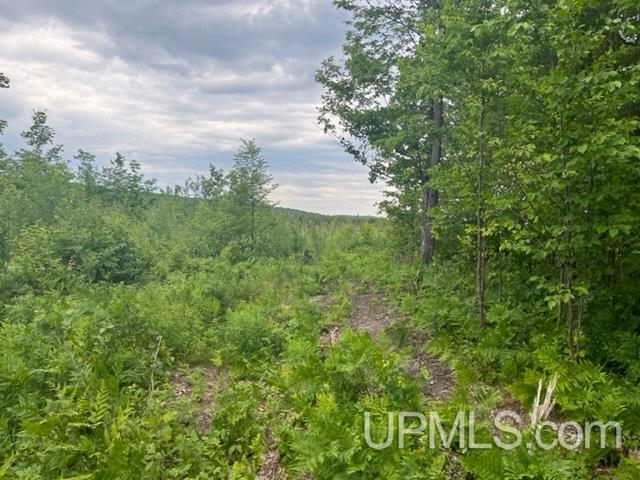 80 acres Camp 9 Road