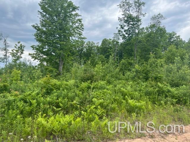80 acres Camp 9 Road