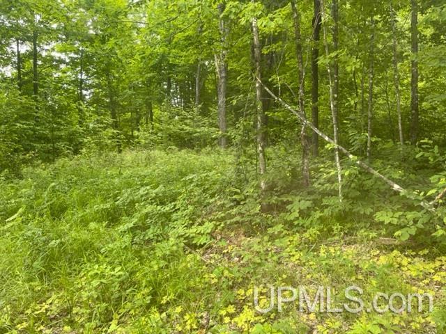 80 acres Camp 9 Road