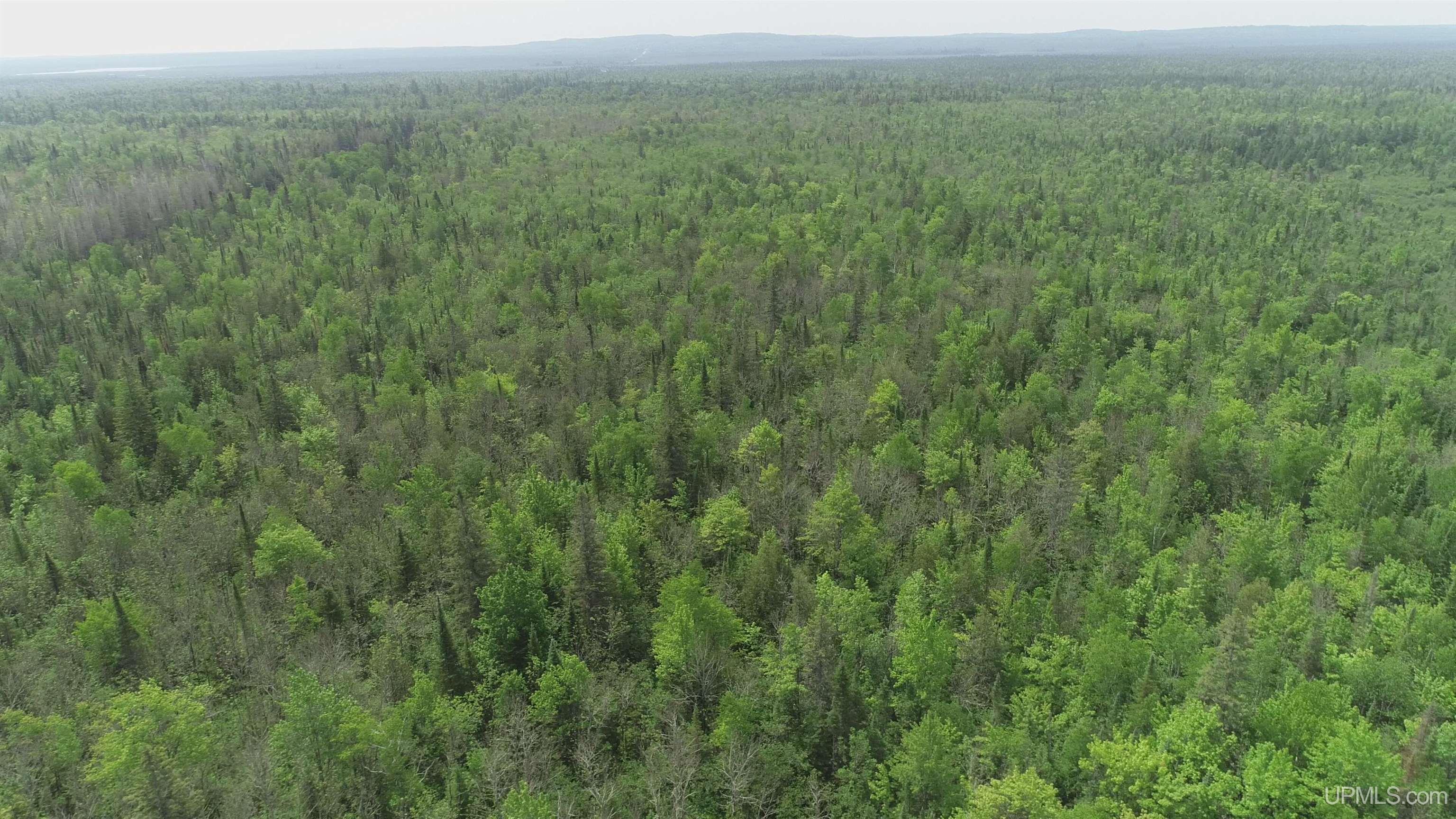 80 Acres Co Rd N415