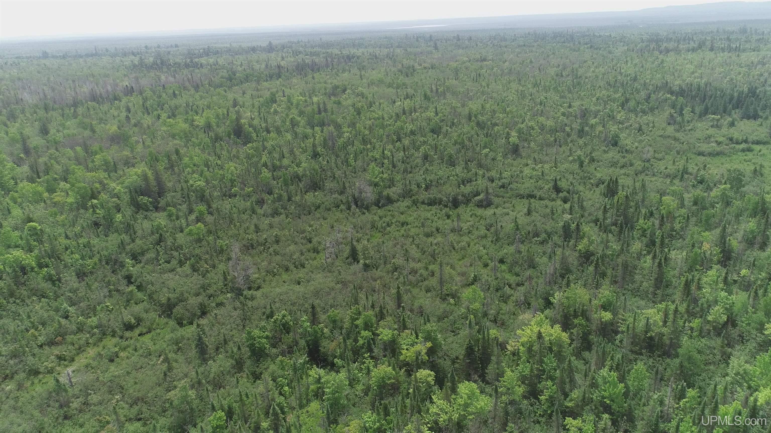 80 Acres Co Rd N415