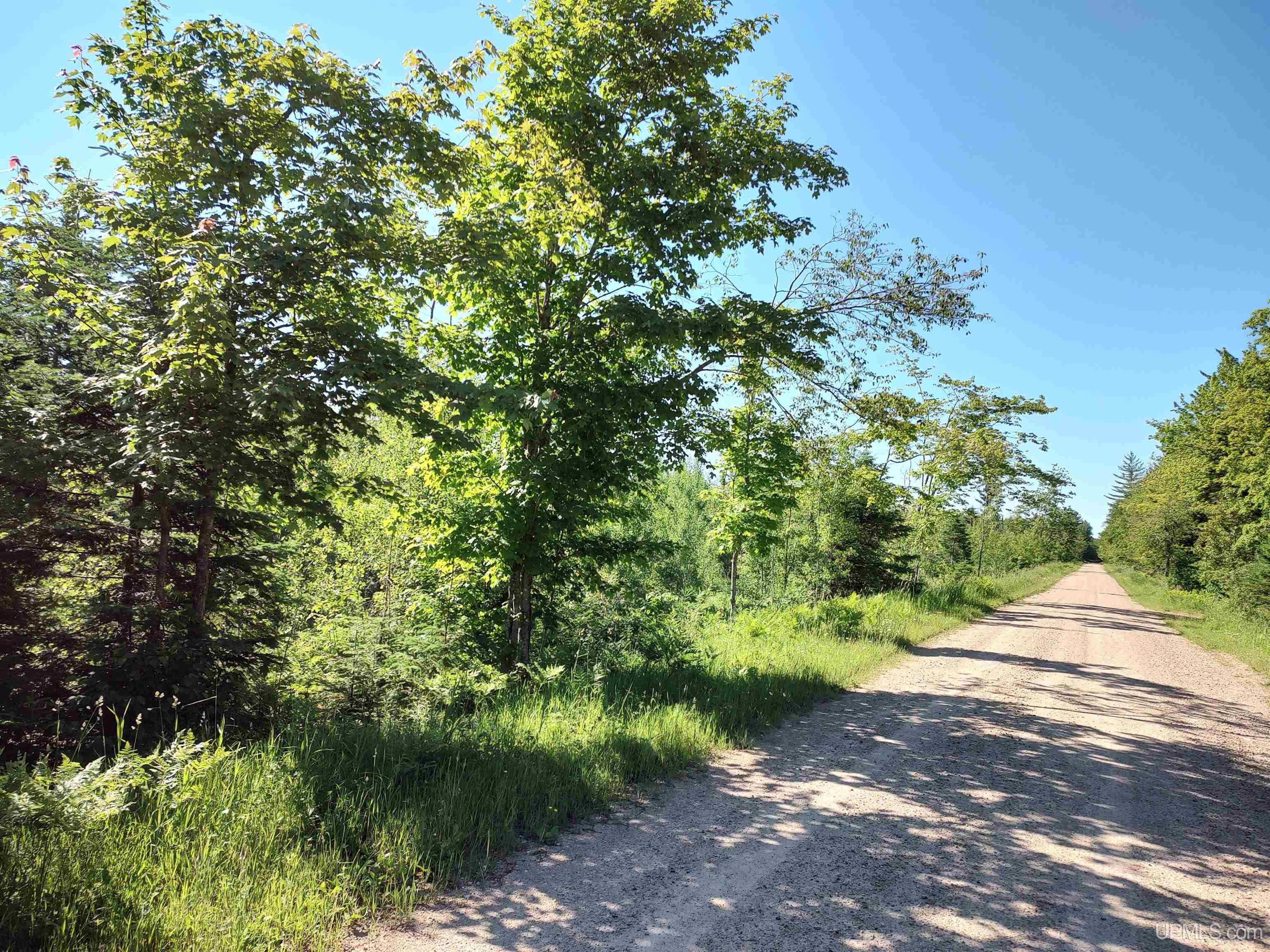 TBD 80 acres Traunik Rd