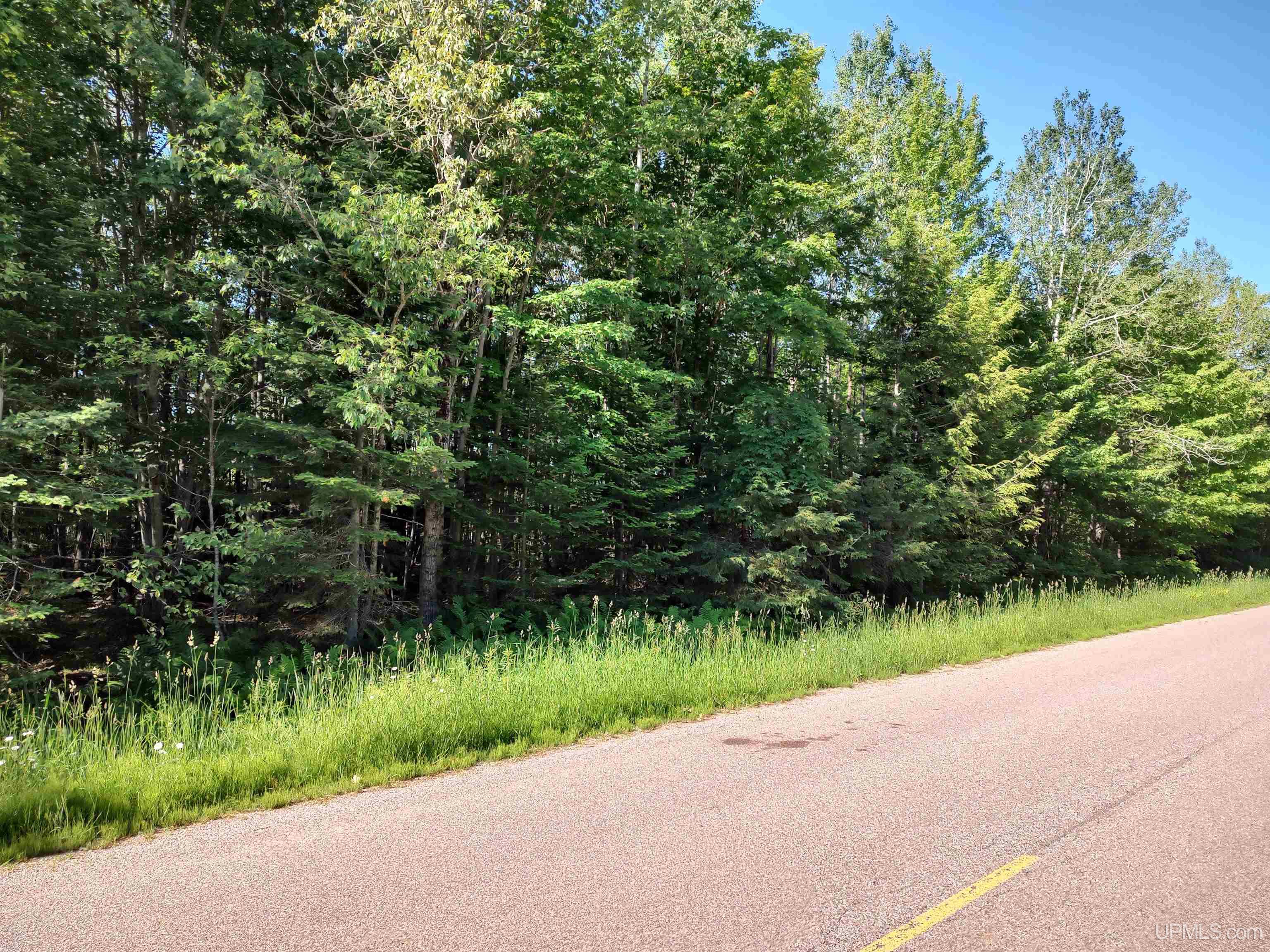 TBD 80 acres Traunik Rd