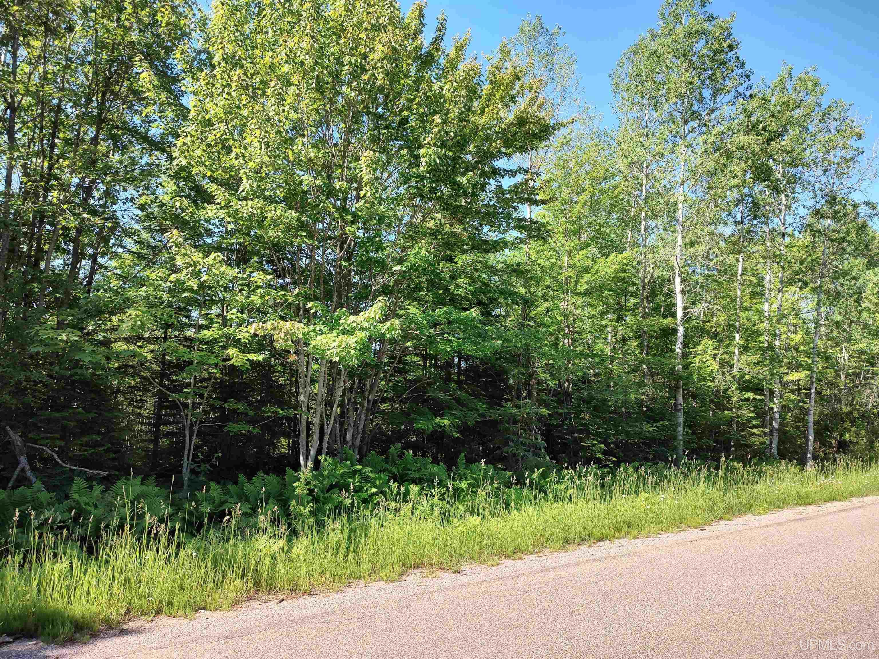 TBD 80 acres Traunik Rd